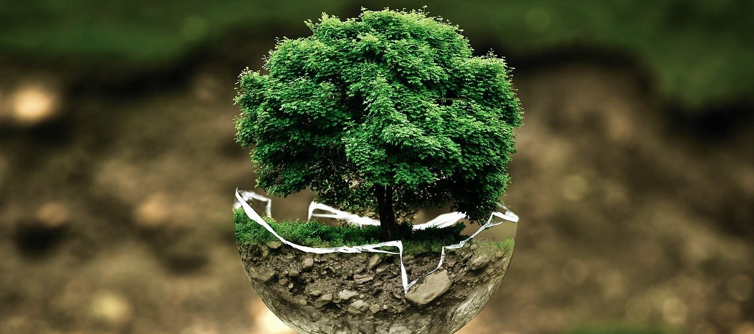 EcoSmart Accreditation